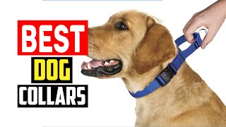 ✅Top 5 Best Dog Collars of 2024