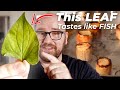 This Leaf Tastes like FISH so I made Vegan Scallops