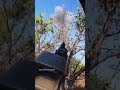 One Shot – One Hit. Ukrainian Soldier Shot Down Russian Drone #warinukraine