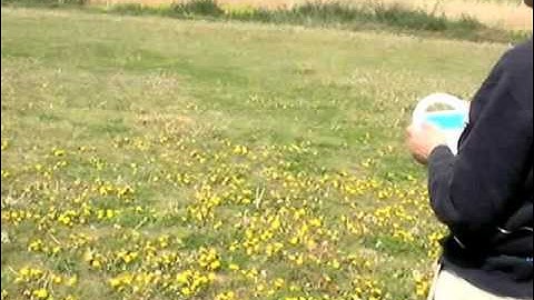 mbed + Buletooth & Wiiリモコンで操作