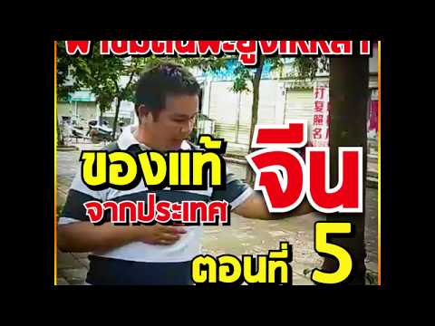พะยูงไหหลำ พะยูงเวียดนาม EP ตะลุยจีน ตอนที่ 5