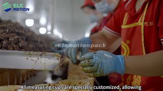Elemotion Pouch Packaging Machine