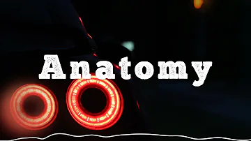 NextRO - Anatomy (Original Mix)