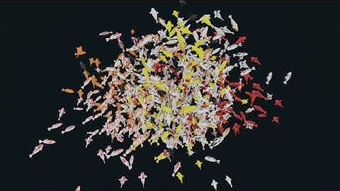 Fish behavior simulation using Boids algorithm