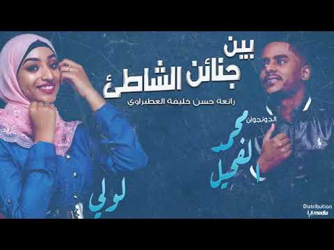 محمد الفحيل لولي بين جنائن الشاطئ New 2019 اغاني سودانيه