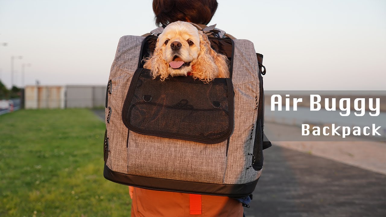 最高のリュックを見つけました【エアバギー】