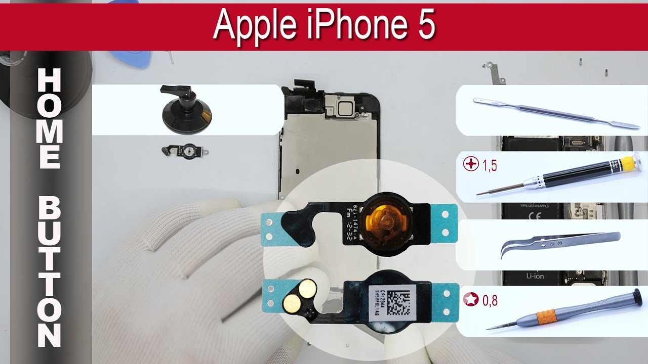Как заменить 🔧 шлейф кнопки Home 🍎 Apple iPhone 5 A1428, A1429, A1442