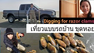 Digging for razor clams at WA 2019 / ขุดหอย ที่อเมริกา /c.k.taylor