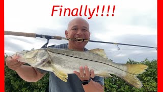 Snook & Cook!! DOA Shrimp lands my first in-season slot snook (Cooking starts at 5:47)