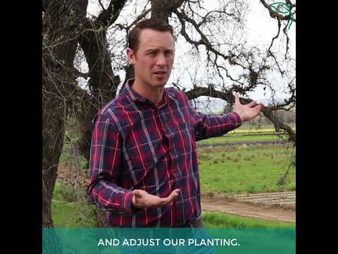 Video: Modern Ranch en California promueve la agricultura sostenible