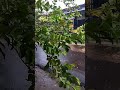 very heavy rain #rain