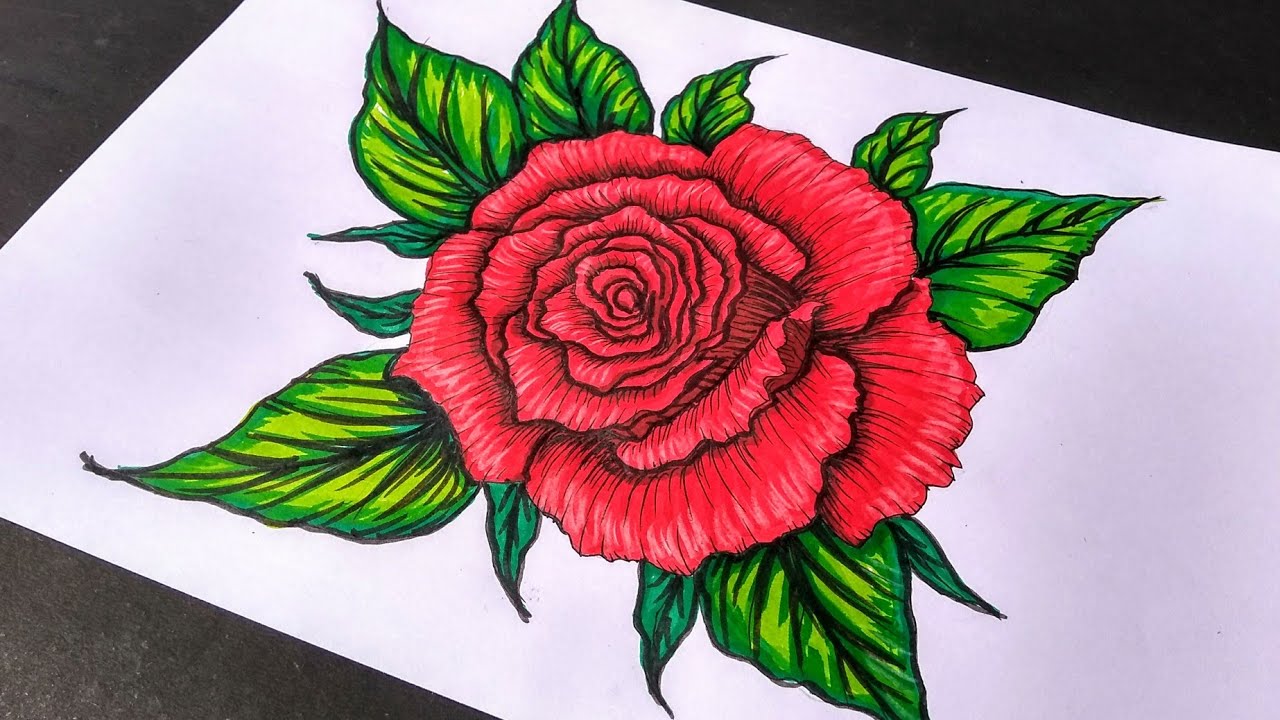 Drawing A Rose Flower With Simple Colored Pencils   YouTube