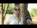 BOJE JUTRA - IMPROVIZOVANO SKLONIŠTE ZA PSE U TOLOŠIMA | Vijesti online
