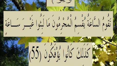 القران الكريم سورة الروم الأية 55.wmv