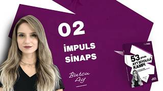 53 Günde AYT Biyoloji Kampı | 2. Gün | Sinir Sistemi | İmpuls - Sinaps | 2026