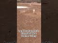 Land Development in Humnabad
