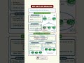 BGP Next-Hop Self Explained | CCNP BGP Interview Question