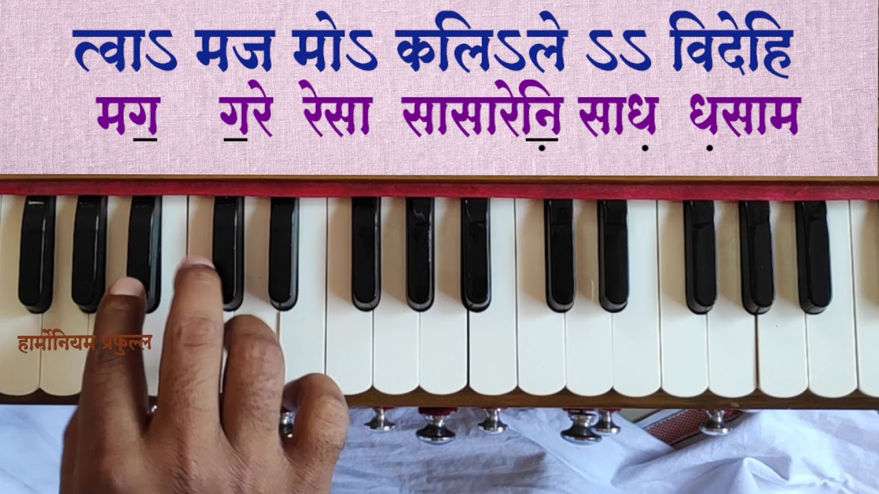 माझा भाव तुझे चरणी #भाग 2 #harmoniumprafulla