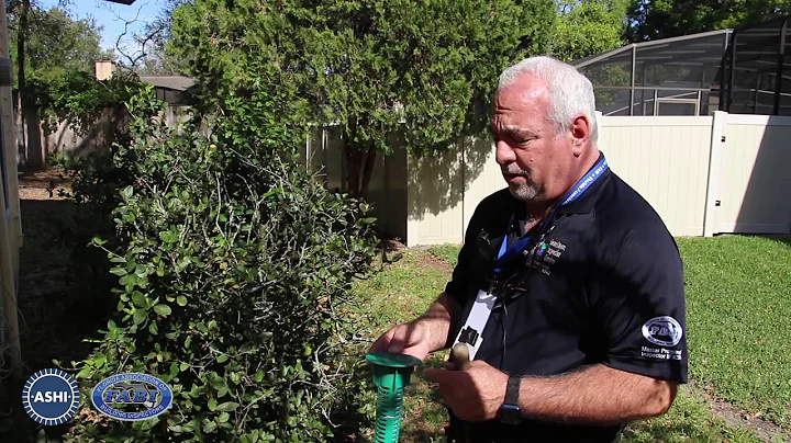 Termite Inspection Tips - FABI Spring Conference