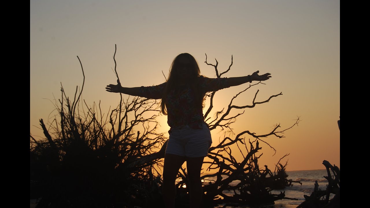 Botany Bay Plantation / Wildlife Management Area / DNR Owned YouTube