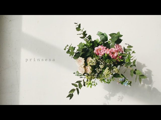 Prinsesa (Martyr or Murderer OST) - Marion Aunor (Official Lyric Video) class=