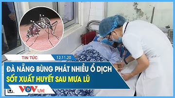 Đà Nẵng bùng phát nhiều ổ dịch sốt xuất huyết sau mưa lũ | VOV Live