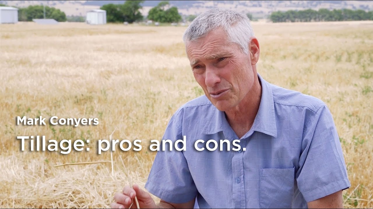 Mark Conyers: Tillage – good, bad or neither?