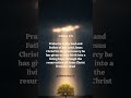 1 PETER 1:3 #Jesusisborn #Christtheking #Messiah #Jesusismysaviour #biblereading #bibleverse #Jesus