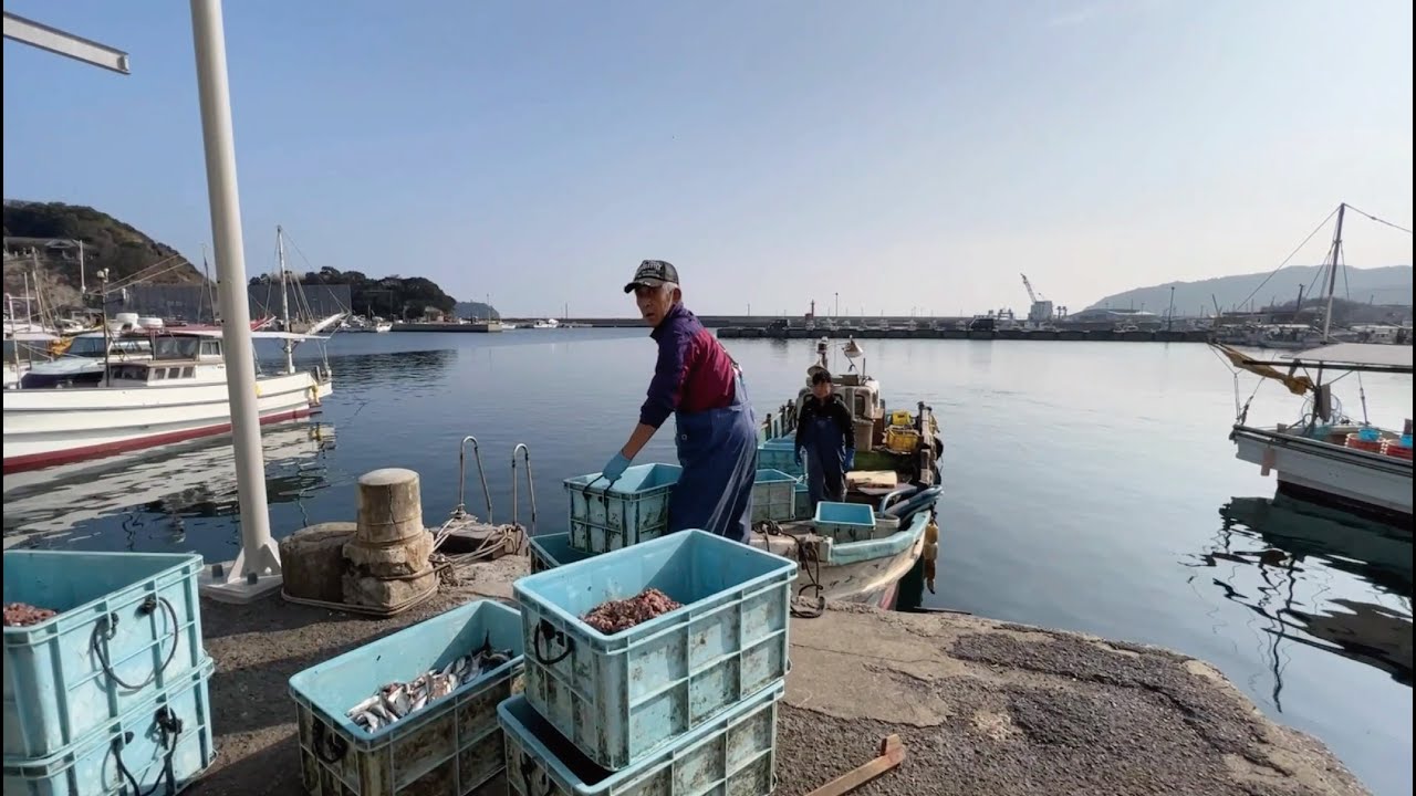 【全国ぶらり散歩】関サバ・関アジの産地、大分県大分市佐賀関漁港を歩く