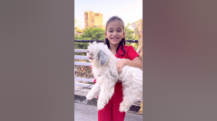 amaira k liye aya  dog #shorts #thegeetagurjar