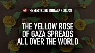 The yellow rose of Gaza spreads all over the world, with Abubaker Abed