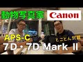 【動物写真家】Canon 7D・7D Mark Ⅱ APS-Cセンサーカメラ　とことん対談