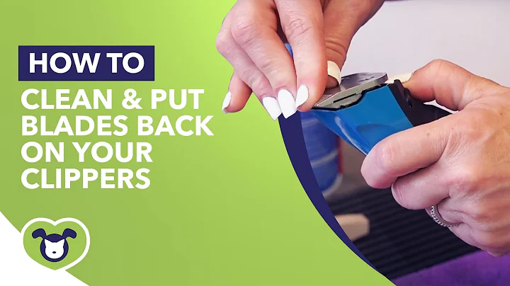 How to Properly Clean & Put Blades Back On Your Clippers