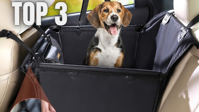 housse de siège auto chien : TOP 5 des housses de sièges auto pour chien à  acheter en 2023 ! 