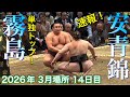 速報❗️『単独トップの霧島』霧島vs安青錦【大相撲令和8年3月場所】14日目 大阪場所 KIRISHIMA AONISHIKI【SUMO OSAKA DAY14】2026/3/21