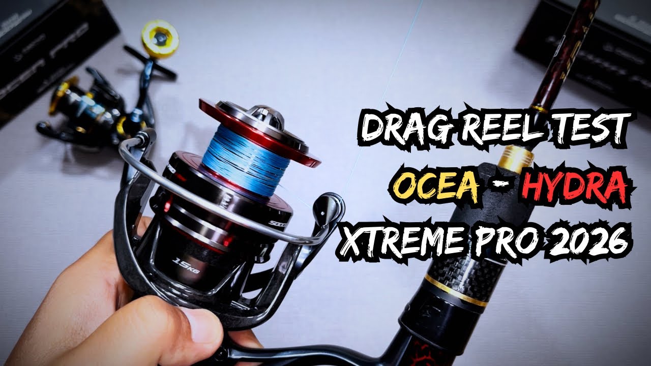 SESUAI KEINGINAN NETIZEN ‼️‼️ COMPARE DAIDO OCEA - HYDRA XTREME PRO 2026‼️‼️