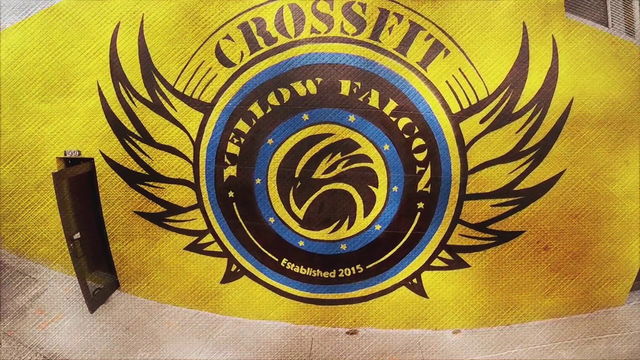 falcon blanche et jaune