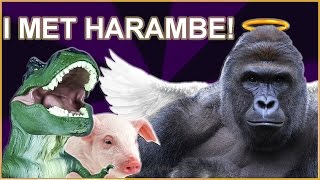 I HAD AN OUT OF BODY EXPERIENCE!!! ☁👃 PurpleCrumbs WE MISS YOU HARAMBE!!