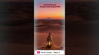 ✨Silk Road Serenity🌙 Oriental Lounge &amp; Desert Chill, Luxury Spa Music, Arabic Jazz, Buddha Bar Style