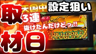 【沖ドキゴールド】連チャン中３連チェリーが高速点滅で抜けたんだけど、追うよね？？？【取材日高設定狙い】