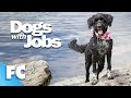 Dogs With Jobs | S4E08: Nikki, Kelsey &amp; Aron | Full Animal Documentary TV Show | FC