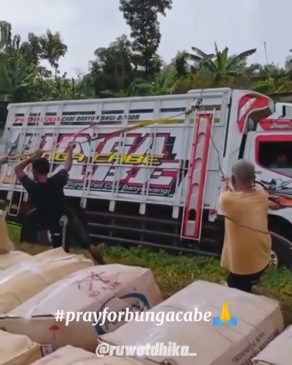 story wa truk bunga cabe laka 😭