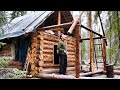 Off grid log cabin building a log cabin for my dog