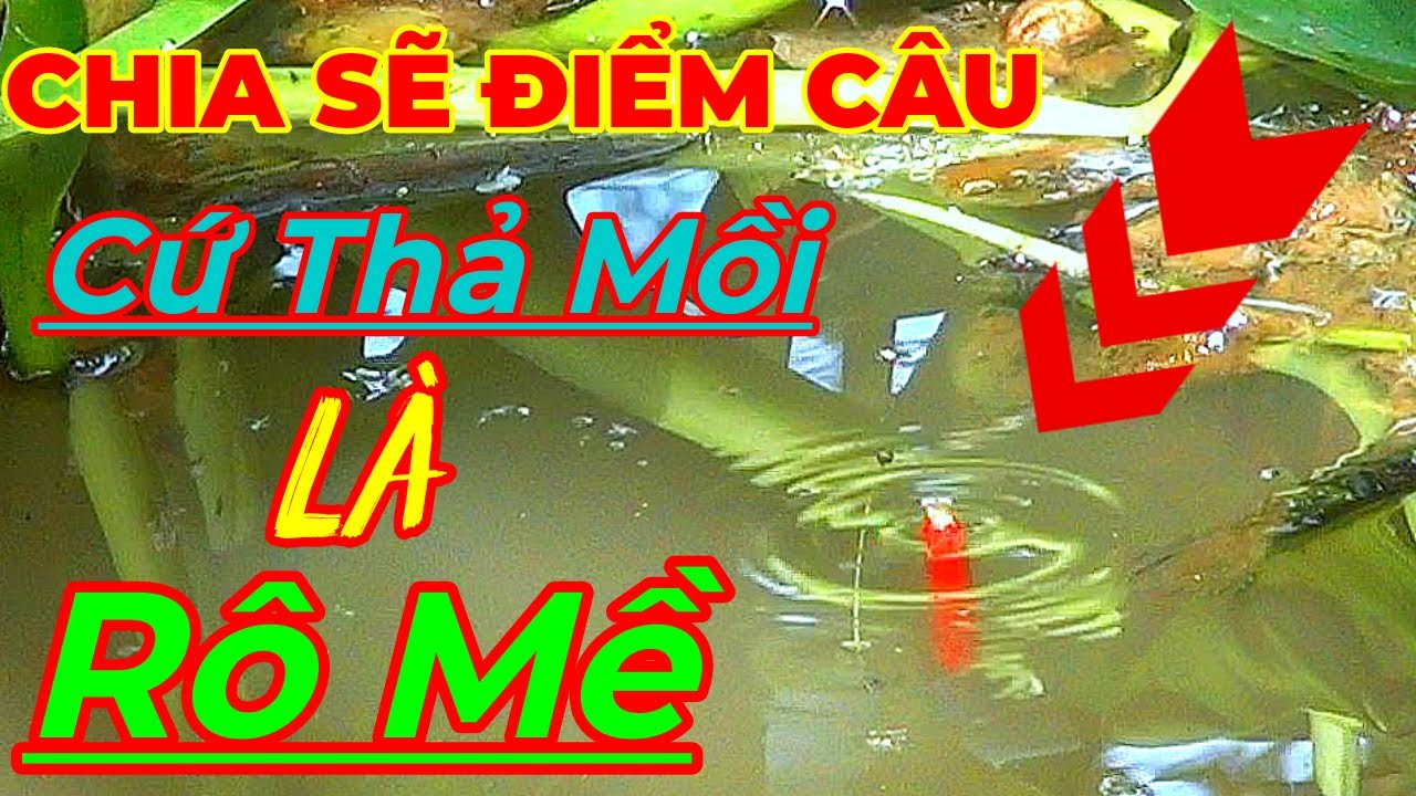 Chia Sẽ Điểm Câu, Thả Mồi là có Rô Mề ,Giật tê hết tay.