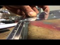 Video Image