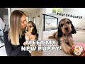 PICKING UP MY NEW COCKER SPANIEL PUPPY! FIRST 24 HOURS - vlog