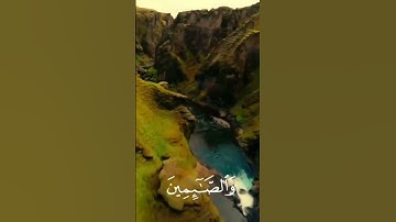 تلاوة تهز القلوب | "إن المسلمين والمسلمات والمؤمنين والمؤمنات..." | سورة الأحزاب