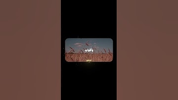 سورة الإنسان | #quran #قرآن #المصحف #المنشاوي