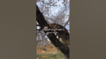 ﴿أَلَم يَأنِ لِلَّذينَ آمَنوا أَن تَخشَعَ قُلوبُهُم لِذِكرِ اللَّهِ﴾ القارئ عبد الرحمن العوسي .