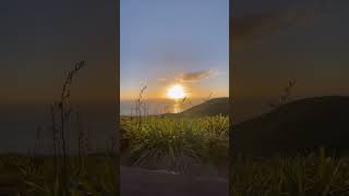 You Decide What You Wanna Say - Bsc Official